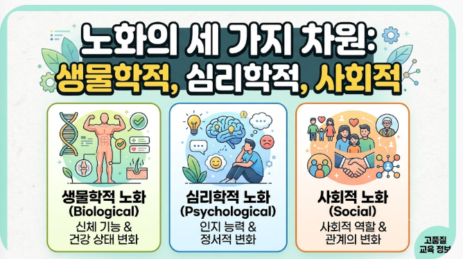노화의 세 가지 차원: 생물학적, 심리학적, 사회적 노화 1 스크린샷 2026 09 14 170226